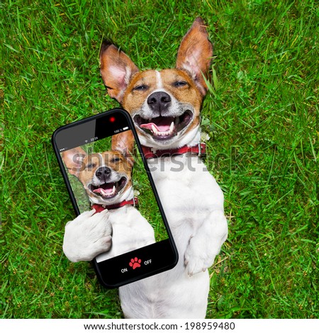 dog taking a selfie  and laughing about that
