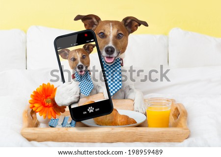 dog taking a selfie  and laughing about that