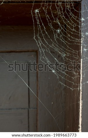 spiderweb dark background abstraction is cool