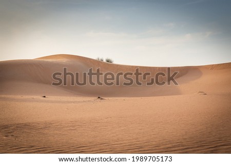 great tour through the desert near Dubai