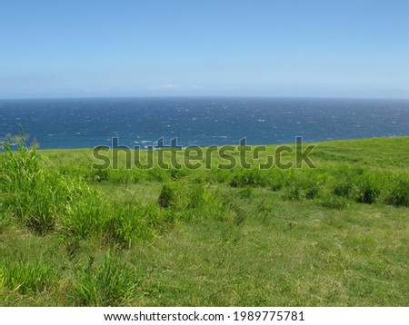 A green field fades with the Pacific ocean in the background on the Big Island of Hawaii