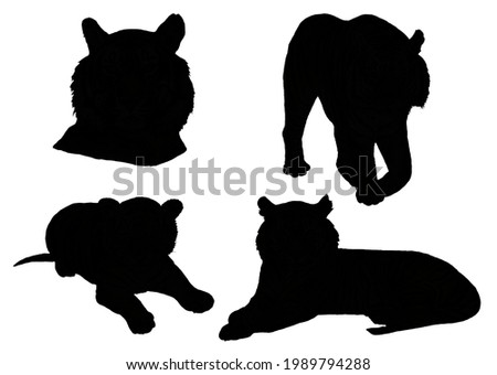 Set of Tigers, silhouettes . Isolated on a white background.  Illustration. Hand drawn. Template. Clip art.	