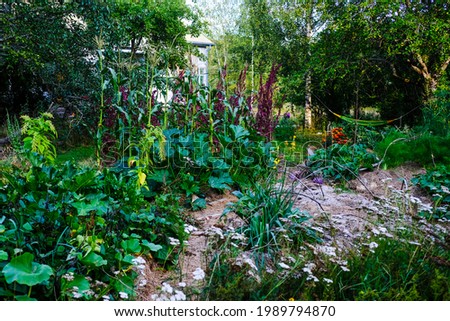 Permaculture garden in end of august 2020 Royalty-Free Stock Photo #1989794870