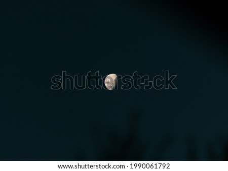 Pictures of the moon in the night sky 
