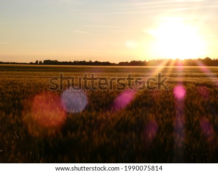 Sunset in the french’s Country