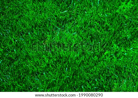 Green grass texture background, Top view of grass garden Ideal concept used for making green flooring, lawn for training football pitch, Grass Golf Courses green lawn pattern