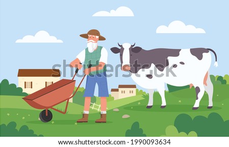 Elderly farmer working at farm field, agriculture work vector illustration. Cartoon senior agrarian rancher in hat holding wheelbarrow, aged man character farming, cow grazing on village grass