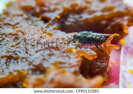 Fly  eating on a mango sheet.