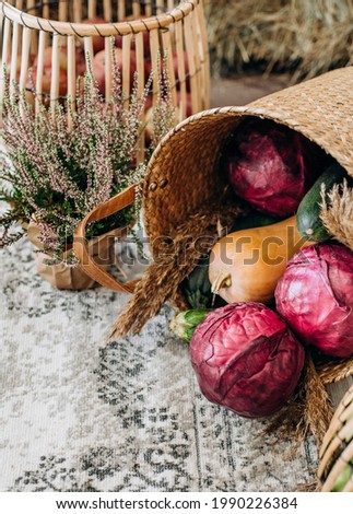 fruits and vegetables seasonal basket colorful decor market trade

