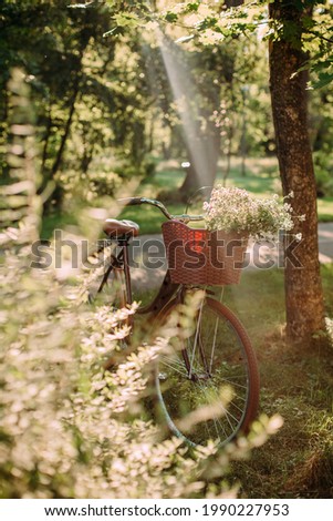 womens bicycle with flowers in a basket glade in the forest and sun rays