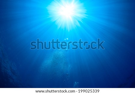 Rising bubbles and sun rays on a tropical reef