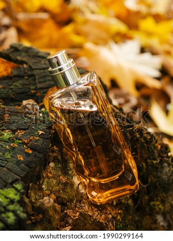 Close up glass bottle of aromatic woody luxury perfume on autumn background. Minimalistic packaging, branding. Woody fragrance. Transparent glass cologne aroma template Vertical view, soft focus. Fall Royalty-Free Stock Photo #1990299164