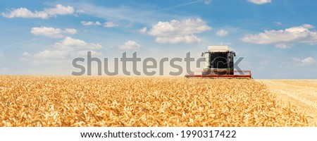 Scenic front view Big modern industrial combine harvester machine reaping gather golden ripe wheat cereal field meadow on bright summer day. Agricultural yellow field machinery landscape background Royalty-Free Stock Photo #1990317422