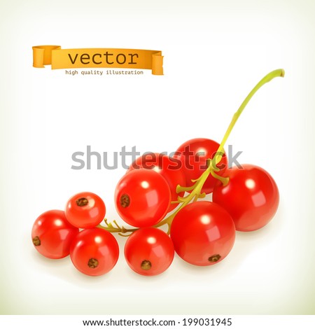 Redcurrant berries, vector illustration Royalty-Free Stock Photo #199031945