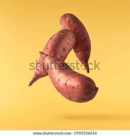 Fresh raw sweet potato falling in the air isolated on yellow illuminating background. Food levitation concept. High resolution image
