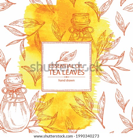Watercolor background with tea: branch, tea leaves and bottle of tea essential oil. Green tea. Cosmetic, perfumery and medical plant. Vector hand drawn illustration.