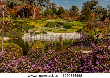 Purple flowers in the foreground with a pond and autumn trees in the background