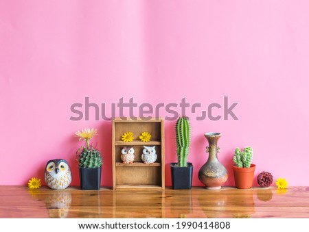 Beautiful  cactus  , wooden  shelf , simulated  owls  and  vintage  vase  on  wood  table  with  pink  background
