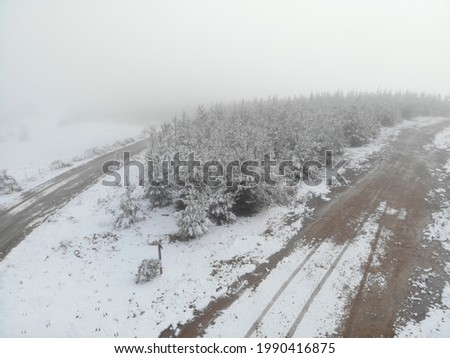 Angled aerial photo of dirt road leading through pine forest covered in snow on foggy winters morning