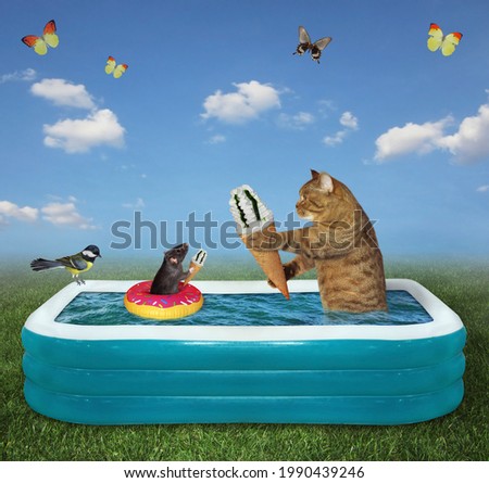 A beige cat and a black rat eat ice cream in an inflatable pool in the meadow.