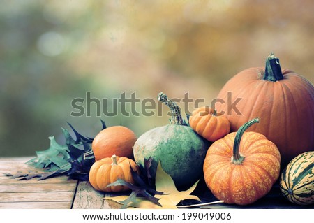 Fall Still Life with pumpkins and gourds against colorful background with room or space for copy, text.  Horizontal with vintage cross process.