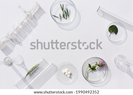 Natural medicine, cosmetic research, bio science, organic skin care products. Petri dish on white background. Top view, flat lay, copy space. Concept skincare. Dermatology. Royalty-Free Stock Photo #1990492352