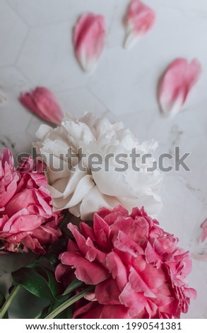 a bouquet of three lush pink peonies lies on the Light table, next to pink and petals, shot from above; a modest gift for a holiday; picture for a flower shop or florist