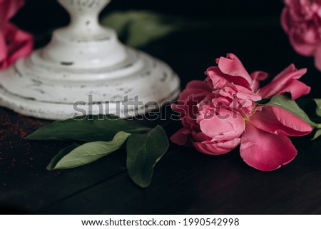 pink blooming peony and white cake stand on black background