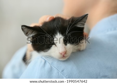 Woman with cute funny kitten at home, closeup