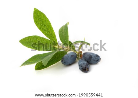 Berries blue honeysuckle with green leaves isolated on a white background. Royalty-Free Stock Photo #1990559441