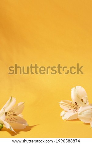 Background for cosmetic products of natural yellow color. Stone podium on a yellow background. Front view.