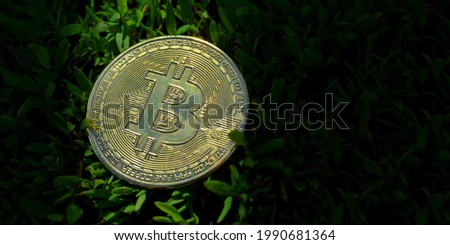 Panoramic photo top view of Bitcoin lying on green grass in a beam of light. Cryptocurrencies. Copy Space for the text.