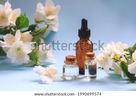 Tender jasmine flowers and oil. Small bottle with cosmetic (cleansing) aroma oil and white jasmine flowers. Natural skin care, homemade spa and beauty treatment recipe. Copy space Royalty-Free Stock Photo #1990699574