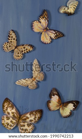 artificial butterflies flying on a blue background