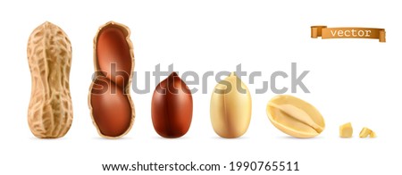 Peanuts. 3d realistic vector object set Royalty-Free Stock Photo #1990765511