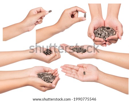 Collection of hand holding sunflower seeds isolated on white background.