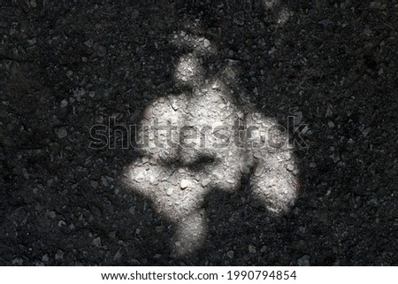 black and white shadow on the ground