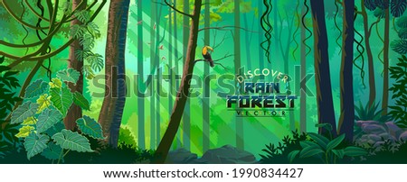 Dense tropical jungle under the shadows of the trees. Royalty-Free Stock Photo #1990834427
