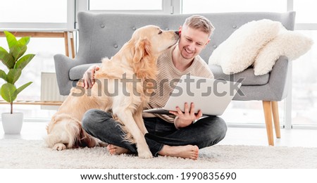 Golden retriever dog sniffs man owner holding laptop. Online communication with friends