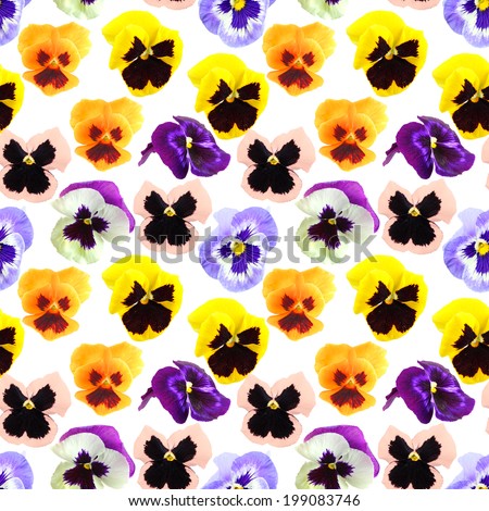 Abstract seamless pattern with motley flowers of pansyes . Isolated on white background. Close-up. Studio photography.