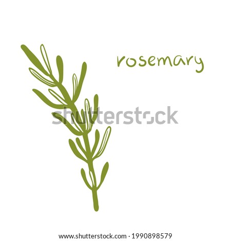 Rosemary. Colorful paper cut culinary herbs isolated on white background. Doodle hand drawn icons. Vector illustration