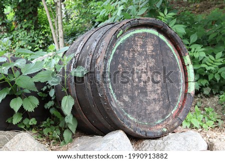 Old wine barrel on a stone wall overgrown with nettles. Decoration in the garden.