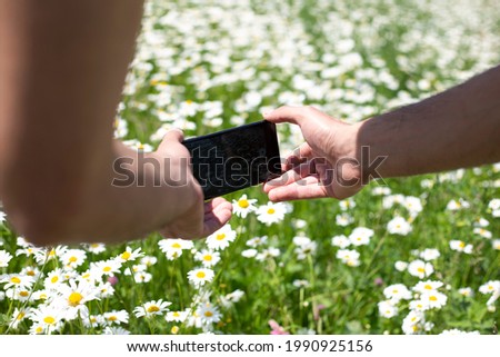 man take photo chamomile in field