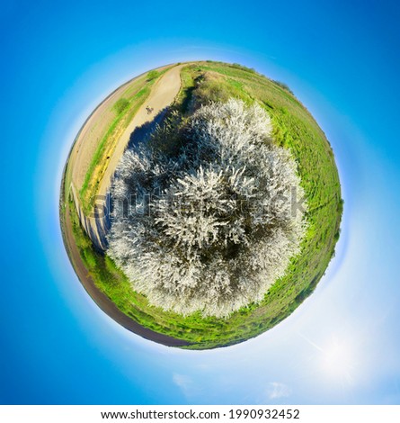 Spherical ball asteroid panorama of flowering trees - cherry plum, sweet cherry, pear, apple, cherry. Beautiful gentle foam of flowers among the scenery. Aerial photography by a drone by a quadcopter
