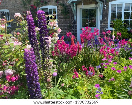 Beautiful English cottage garden in front of a red brick house, filled with colourful flowers. England. Royalty-Free Stock Photo #1990932569