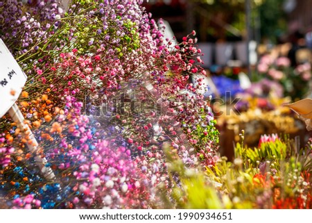 Bouquets of colorful flowers in the flower market