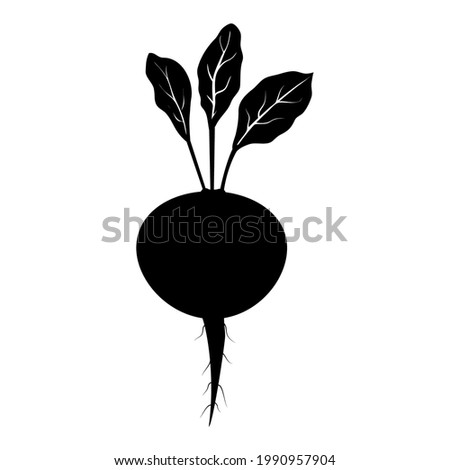 Silhouette of beets, sugar beet. Flat black silhouette on a white background. Drawn beets with white veins on the leaves. The side view of the vegetable is shown Royalty-Free Stock Photo #1990957904