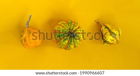 Small decorative pumpkins on orange background Seasonal decoration Thanksgiving day Autumn harvest decor.