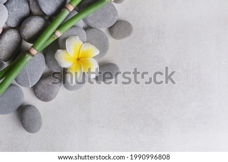 frangipani and zen like grey stones and two bamboo grove with copy space on gray background