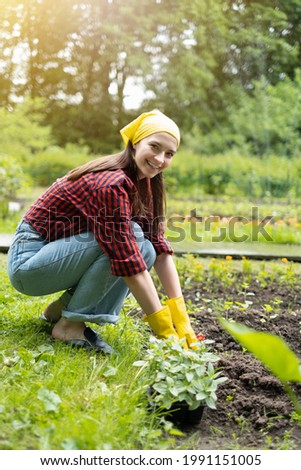 A successful female agricultural engineer with a box of green seedlings plants them in the ground. A Caucasian girl in a yellow scarf, gloves and shirt smiles against the background of a plantation